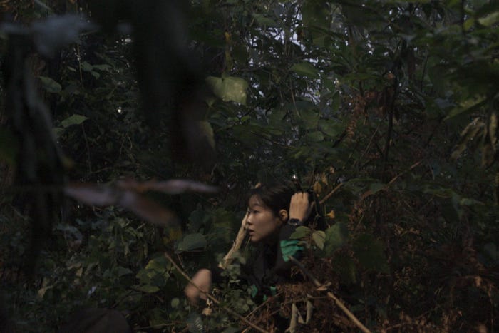 Netflixシリーズ「Siren: Survive the Island(英題)」2023年独占配信