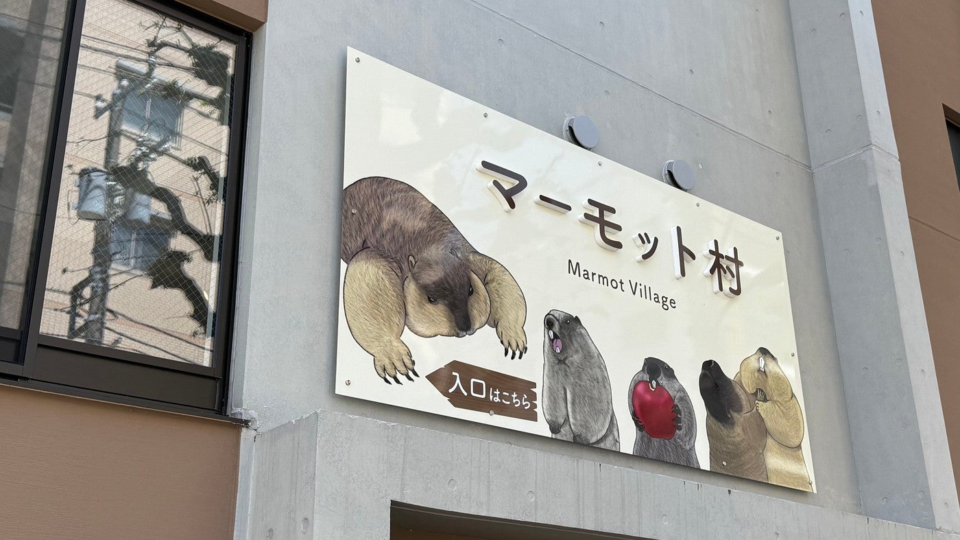 マーモット村／提供画像