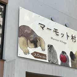 マーモット村/提供画像