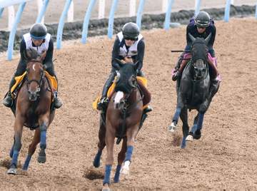 【アルテミスS】プルヴィナル抜群の動き 栗田師「本当にいい走り。ブレがなく、芯がしっかりしていた」