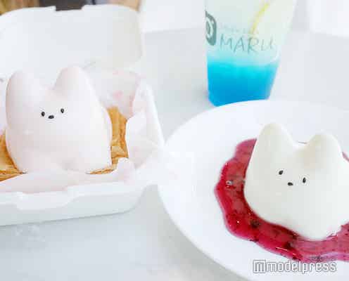 韓国発バズりスイーツ「猫プリン」って?ぷるぷる揺れる“かわいそ可愛い”動きが人気のヒミツ