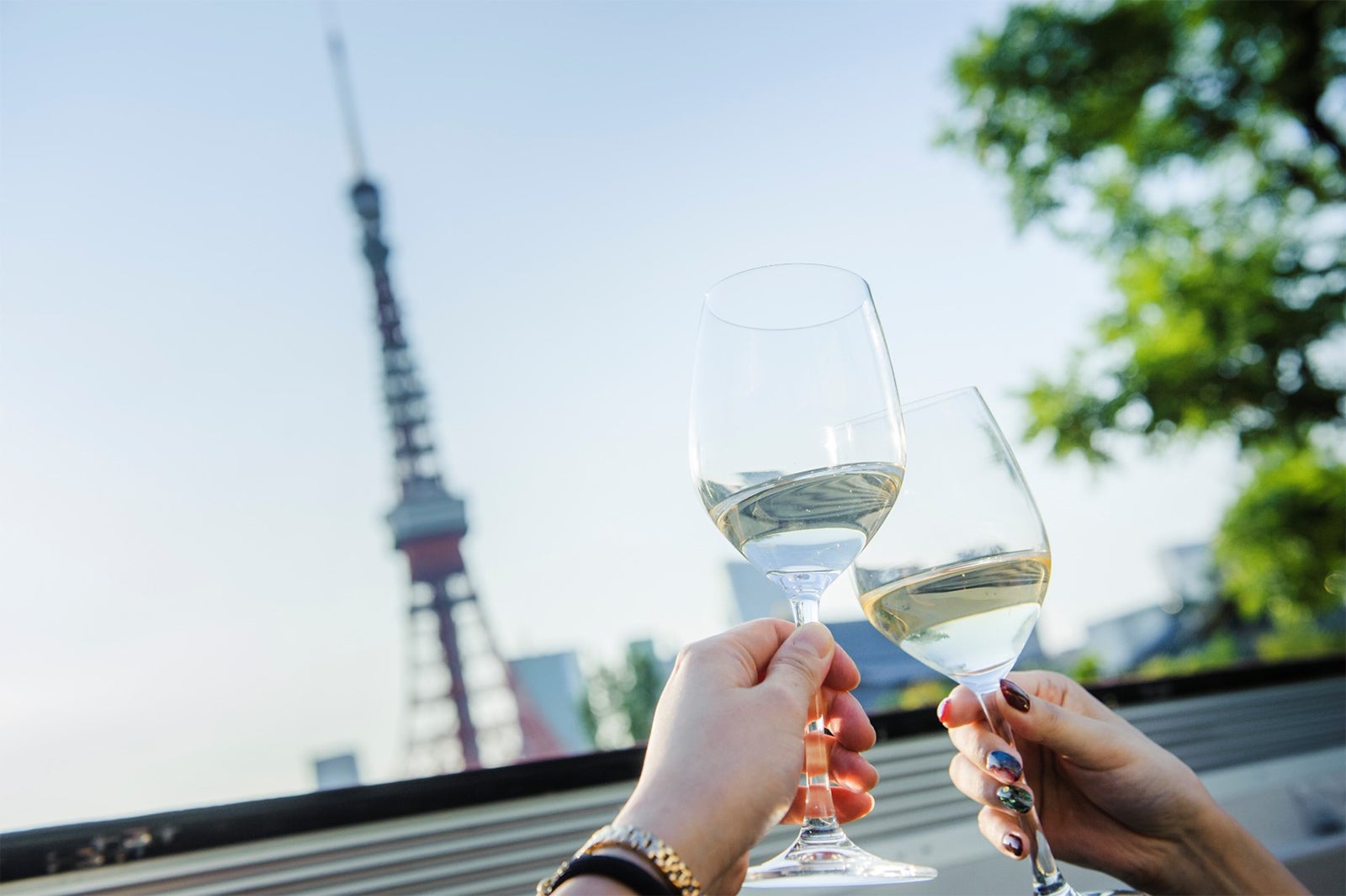 東京観光の新しいかたち／画像提供：WILLER