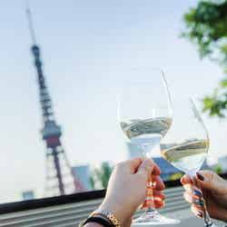 東京観光の新しいかたち/画像提供:WILLER