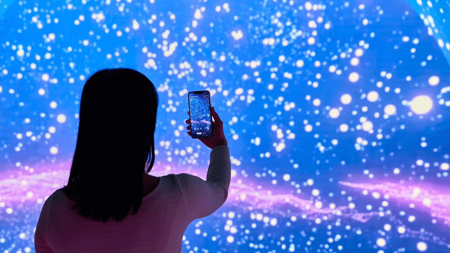 ワンダリア横浜／提供画像