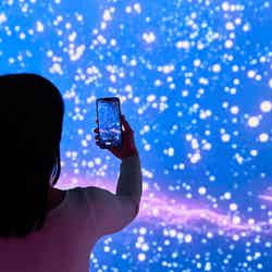 ワンダリア横浜/提供画像