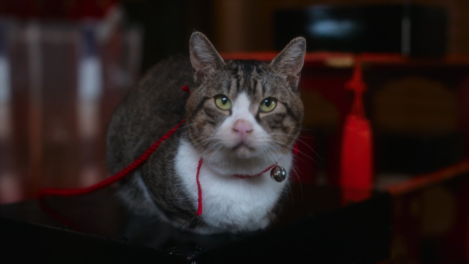 「光る君へ」第9話より（C）NHK