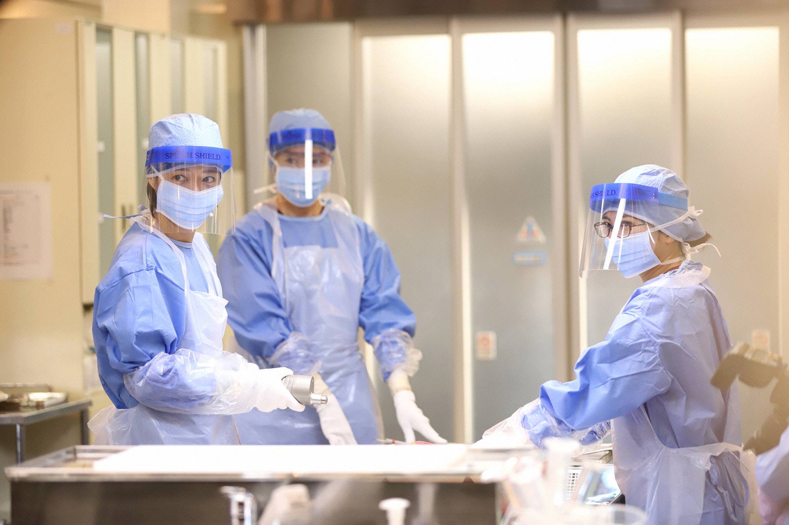 「監察医 朝顔」第8話より（C）フジテレビ