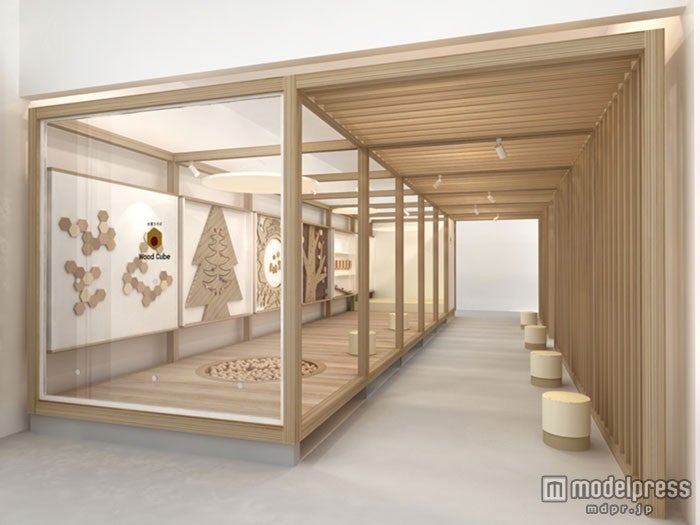 「Wood Cube（ウッドキューブ）」／画像提供：三井不動産