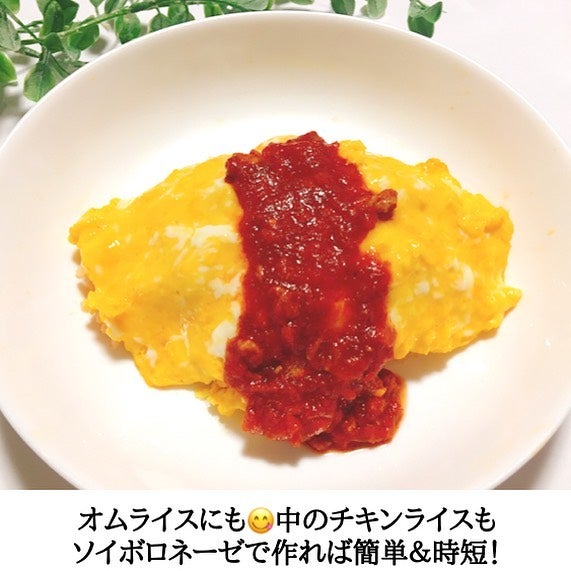 業務スーパー「ソイボロネーゼ」