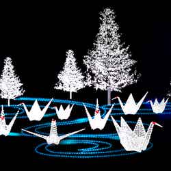 イルミネーションイメージ/画像提供:大阪城イルミナージュ実行委員会