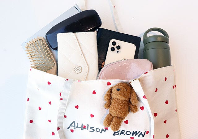 宝島社　雑誌　付録　sweet12月号　増刊号　ALLISON