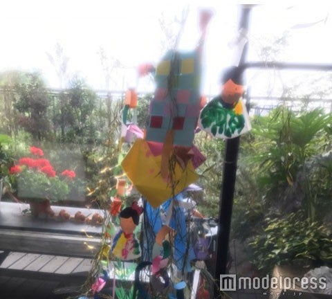 市川海老蔵オフィシャルブログ（Ameba）より