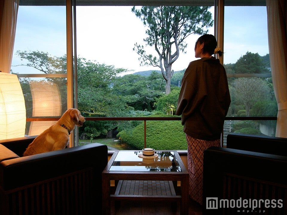 「伊豆修善寺 絆」客室広縁、愛犬と一緒に夕涼み／画像提供：ベリークルーズ
