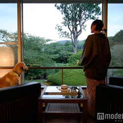 「伊豆修善寺 絆」客室広縁、愛犬と一緒に夕涼み／画像提供：ベリークルーズ
