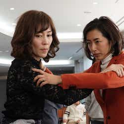 木村多江の画像 写真 ニュース記事一覧 モデルプレス 木村多江の画像 写真 ニュース記事一覧 モデルプレス