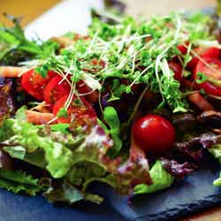 Glamping&Port 結/画像提供:ブッキングリゾート