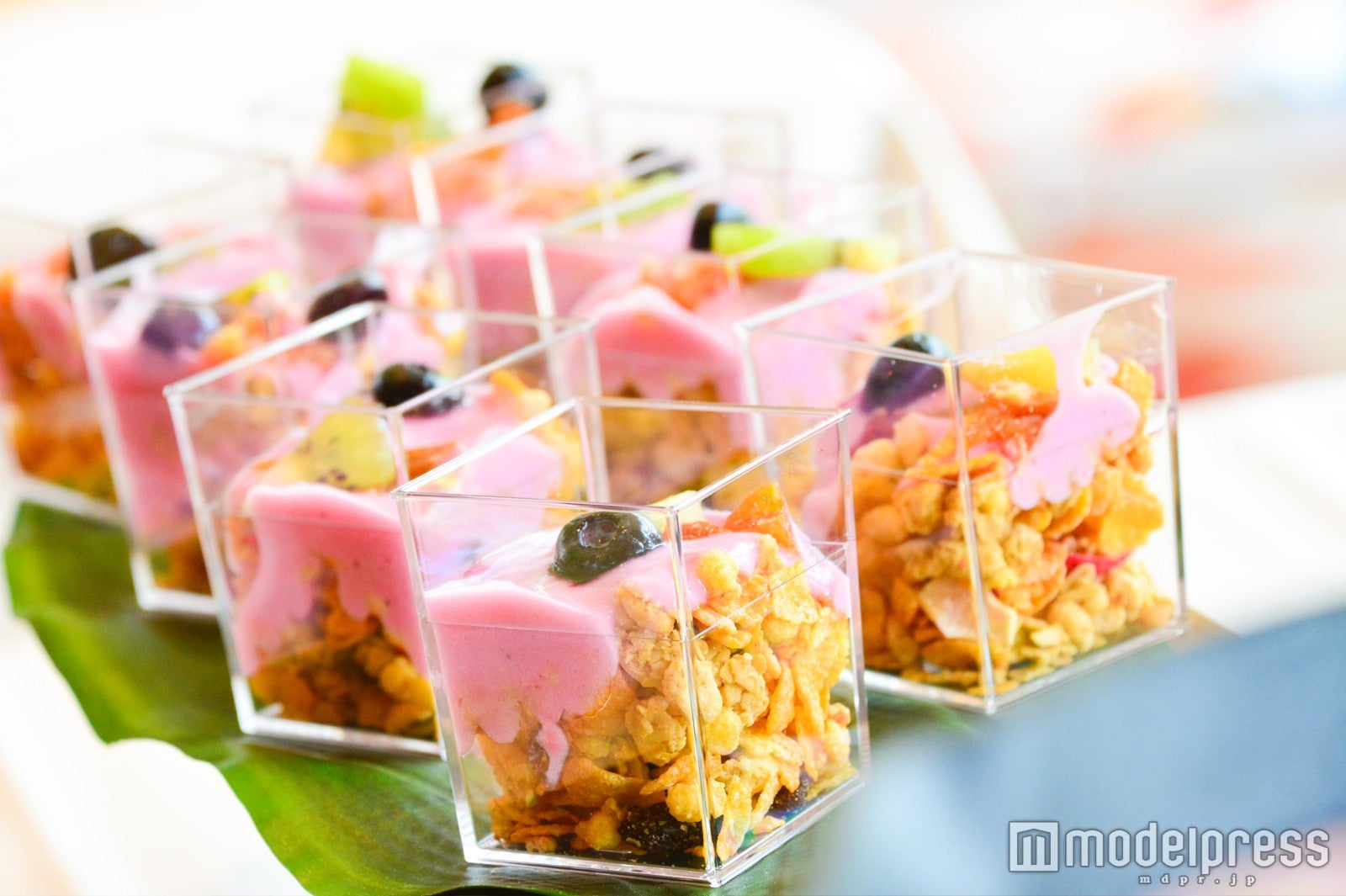 フルーツボウル （C）モデルプレス