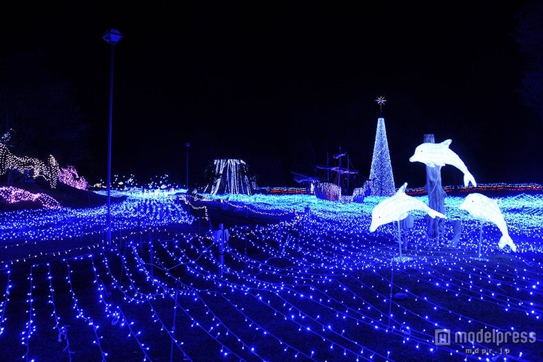 メインツリー周辺※過去写真