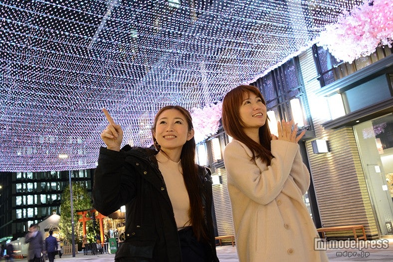 LEDで満開の桜の回廊を表現した「花見舞台」