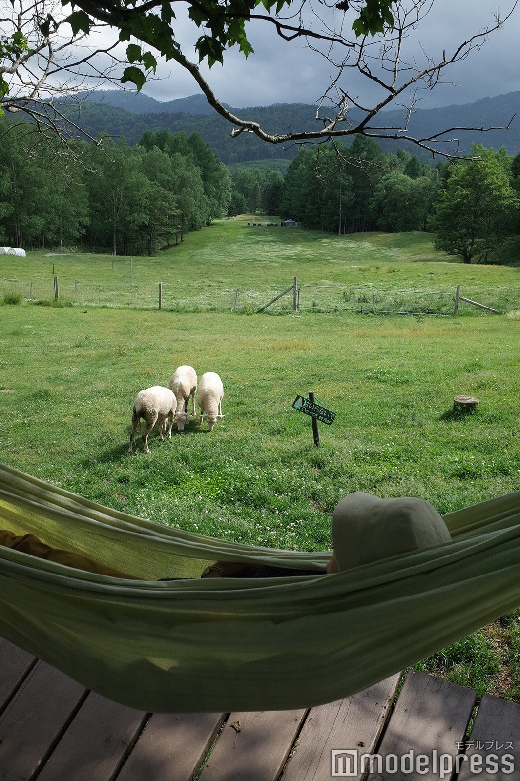 星野リゾート　トマム（C）モデルプレス