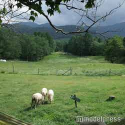 星野リゾート トマム(C)モデルプレス