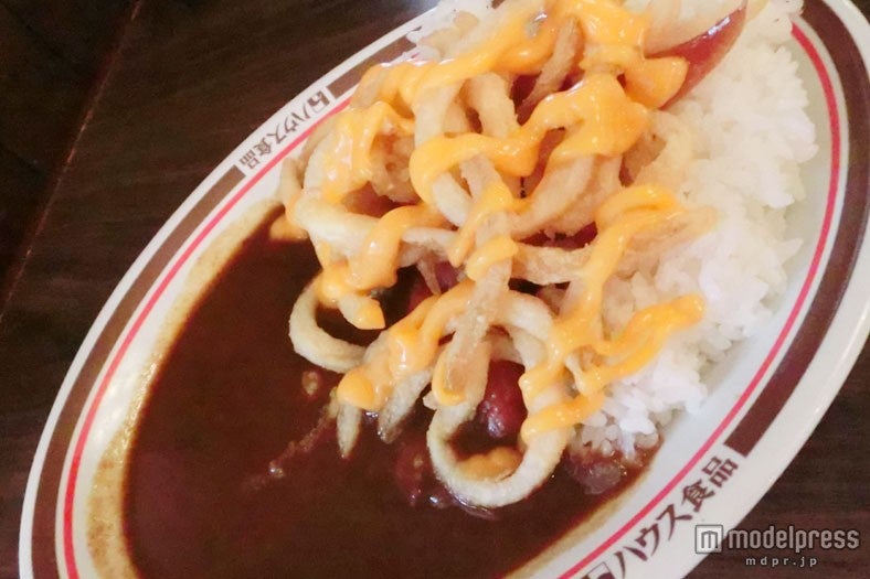 30種類のスパイスを使ったカレー/TDR