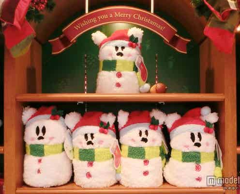 冬ディズニーの寒さ対策<クリスマス編>