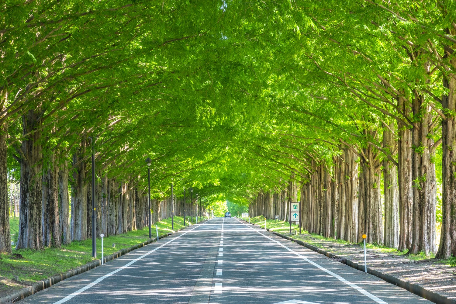 グランピング＆カフェ ムク／画像提供：ブッキングリゾート