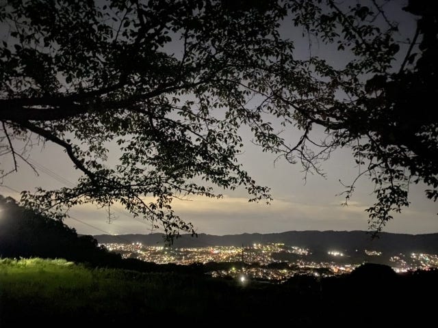 自然・植物に囲まれてリフレッシュ♡大阪・奈良の「グルメ&カフェ」