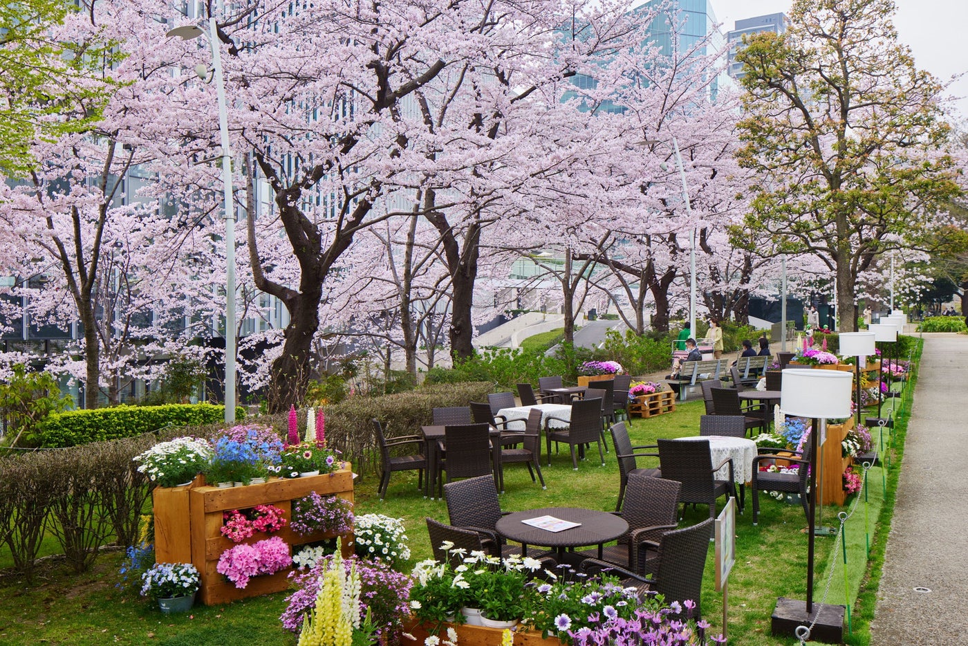 MIDTOWN BLOSSOM 2026／提供画像