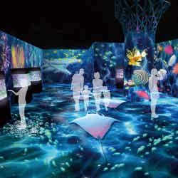 RYUGU FESTIVAL Supported by TOKYO GIRLS COLLECTION/画像提供:横浜八景島