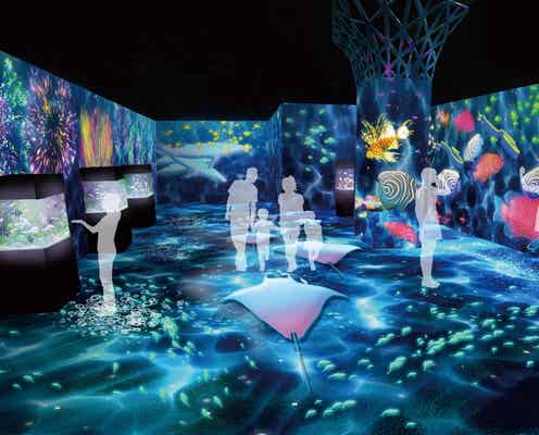 アクアパーク品川×TGCの初コラボイベント “竜宮城”モチーフの幻想的な海中世界