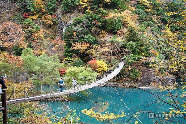 夢の吊橋が有名な「寸又峡」