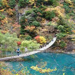 夢の吊橋が有名な「寸又峡」