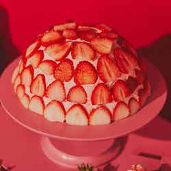 ストロベリーアフタヌーンスイーツビュッフェ ~ときめきいちご狩り~/提供画像