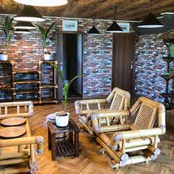 LOTUS NIGHT/画像提供:ブッキングリゾート