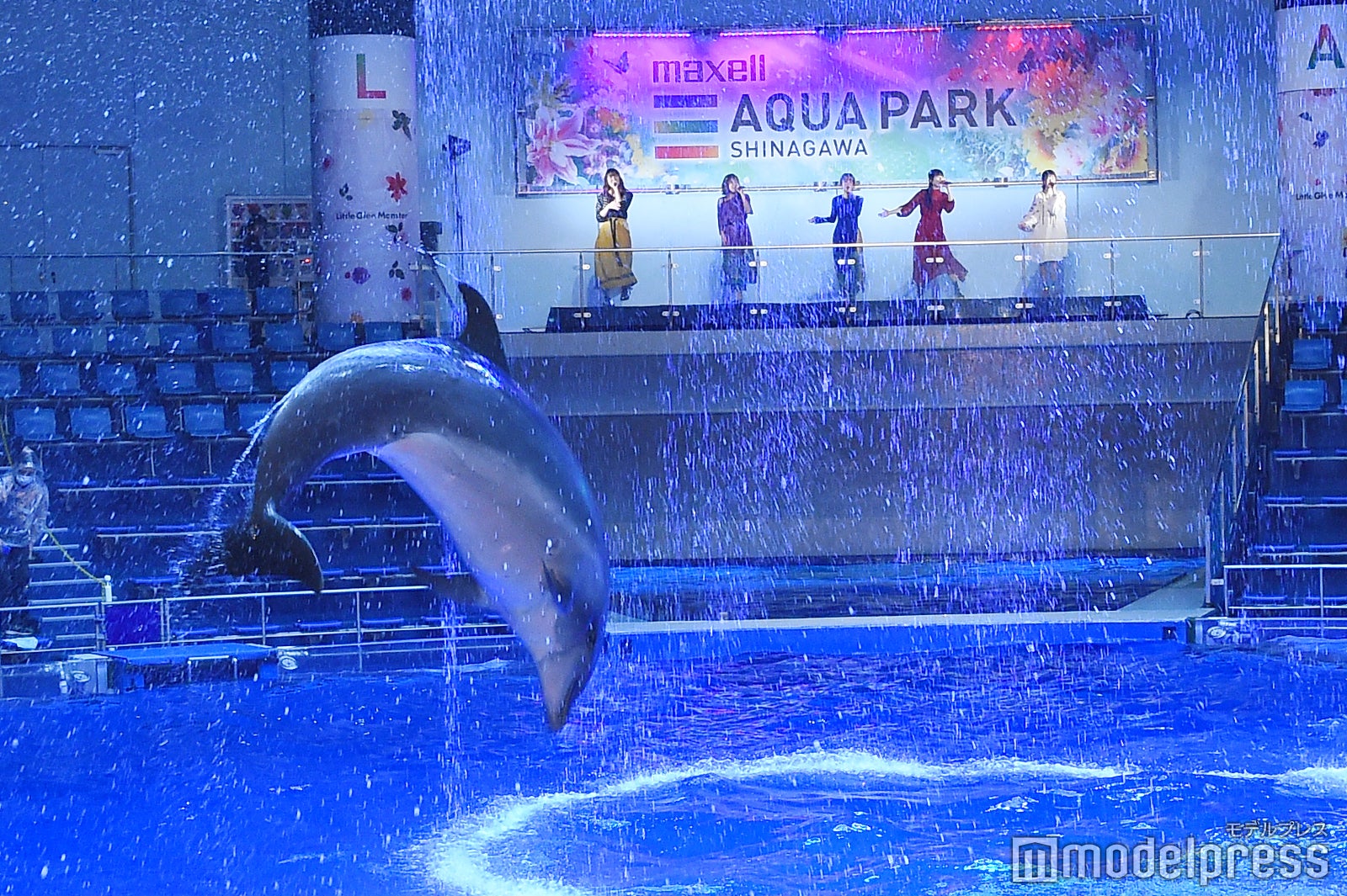 イルカとリトグリ（左から）かれん、MAYU、芹奈、manaka、アサヒ（C）モデルプレス