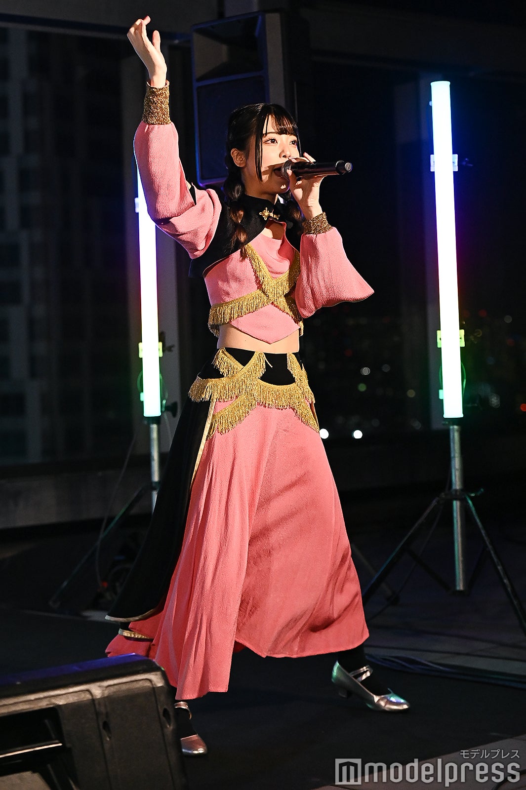 豆柴の大群（C）モデルプレス