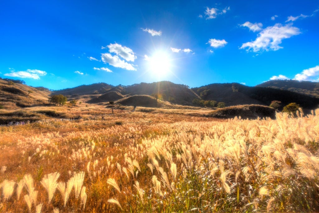 砥峰高原（神崎郡神河町川上）