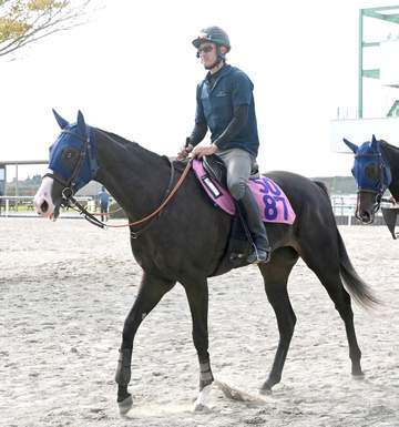 【新馬戦】エクアトーレ 天才への第一歩だ 国内外G1.6勝イクイノックスの全妹 「本当にいい走り」田中博師も期待