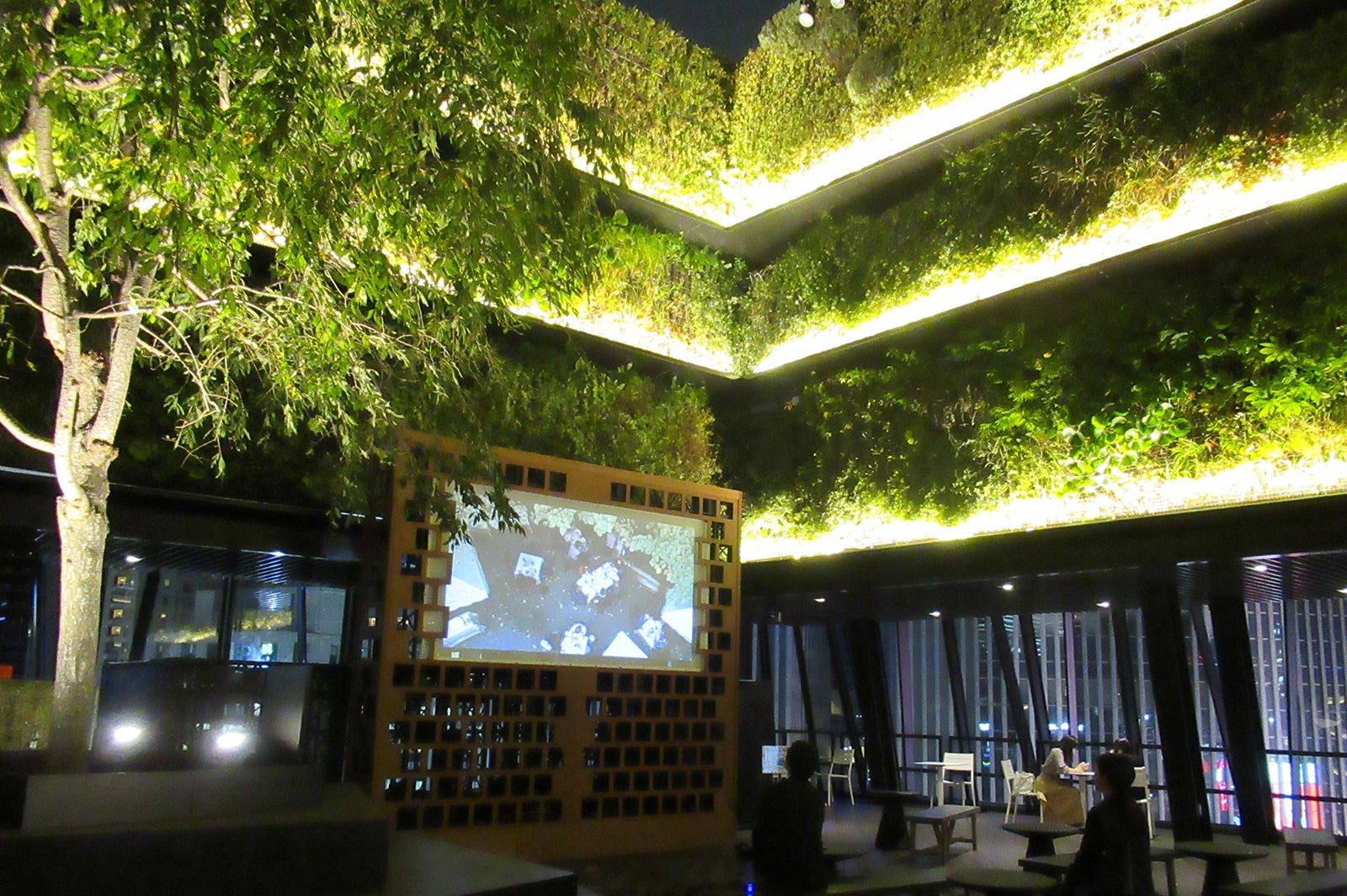 夜はライトアップの中で野外シネマも