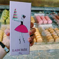 ラデュレのマカロン/画像提供:所属事務所