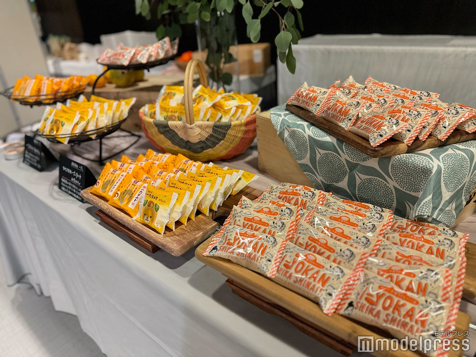 「TGC松山2024」ケータリング（C）モデルプレス