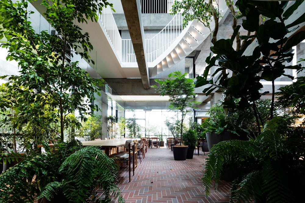 白井屋ホテル／画像提供：白井屋ホテル