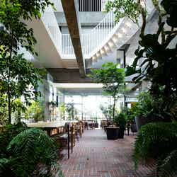 白井屋ホテル/画像提供:白井屋ホテル