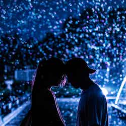 バブルミネーション/提供画像