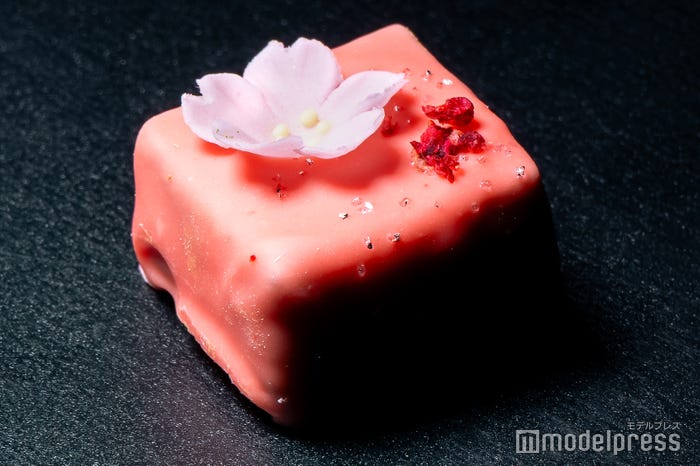 ボンボンサクラ(C)モデルプレス