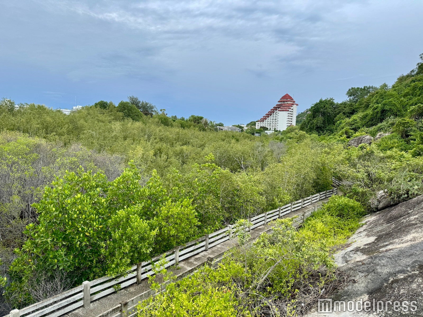 チバソム（C）モデルプレス