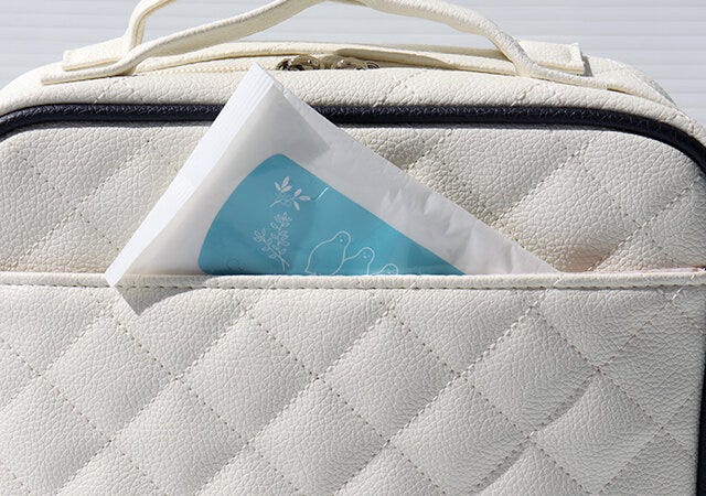 宝島社　雑誌　ムック本　付録　nanakoななこがさらに本気で作った