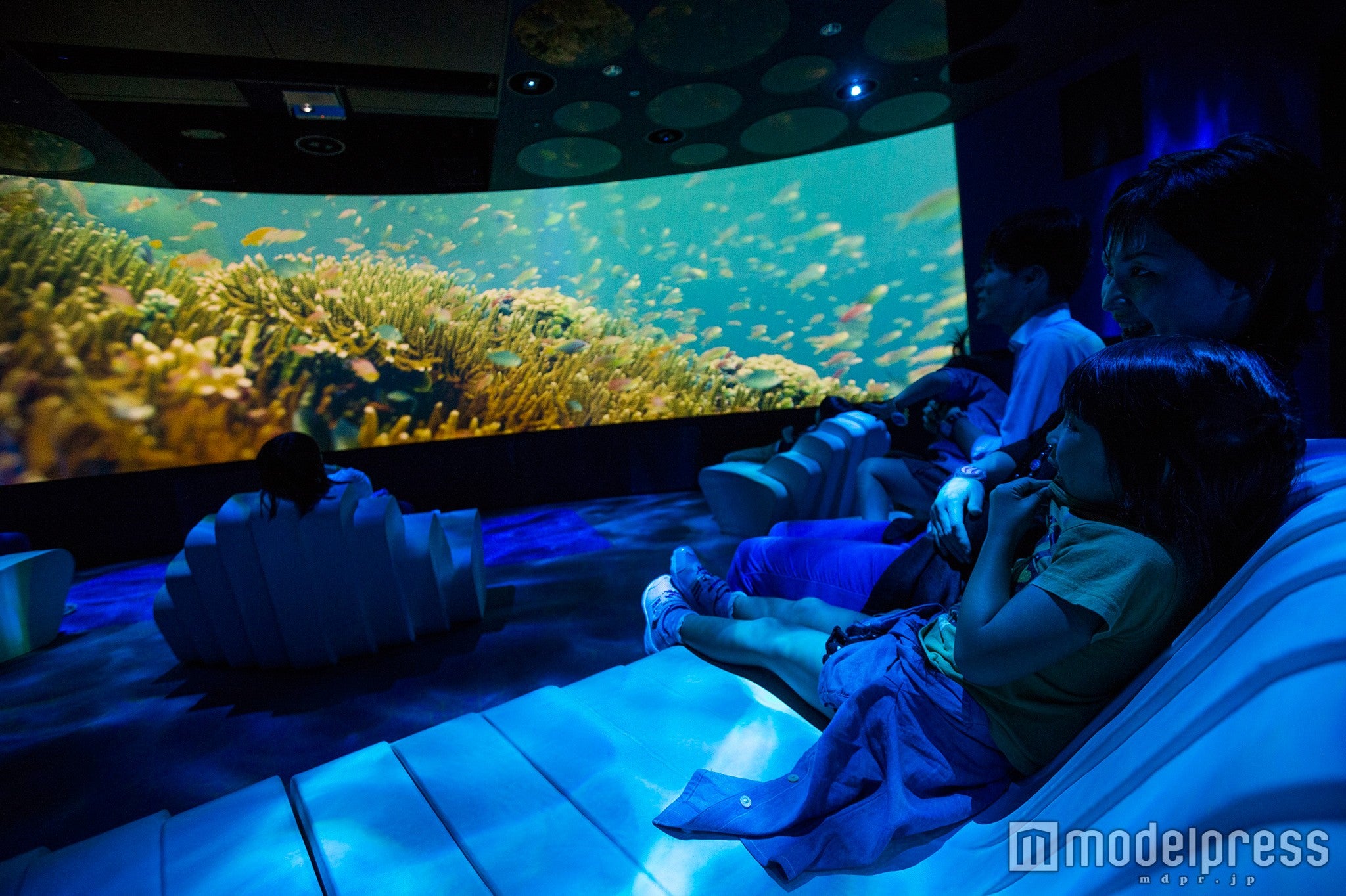 海中散歩「ブルーレイヤー」／画像提供：フェリスウィールインベストメント